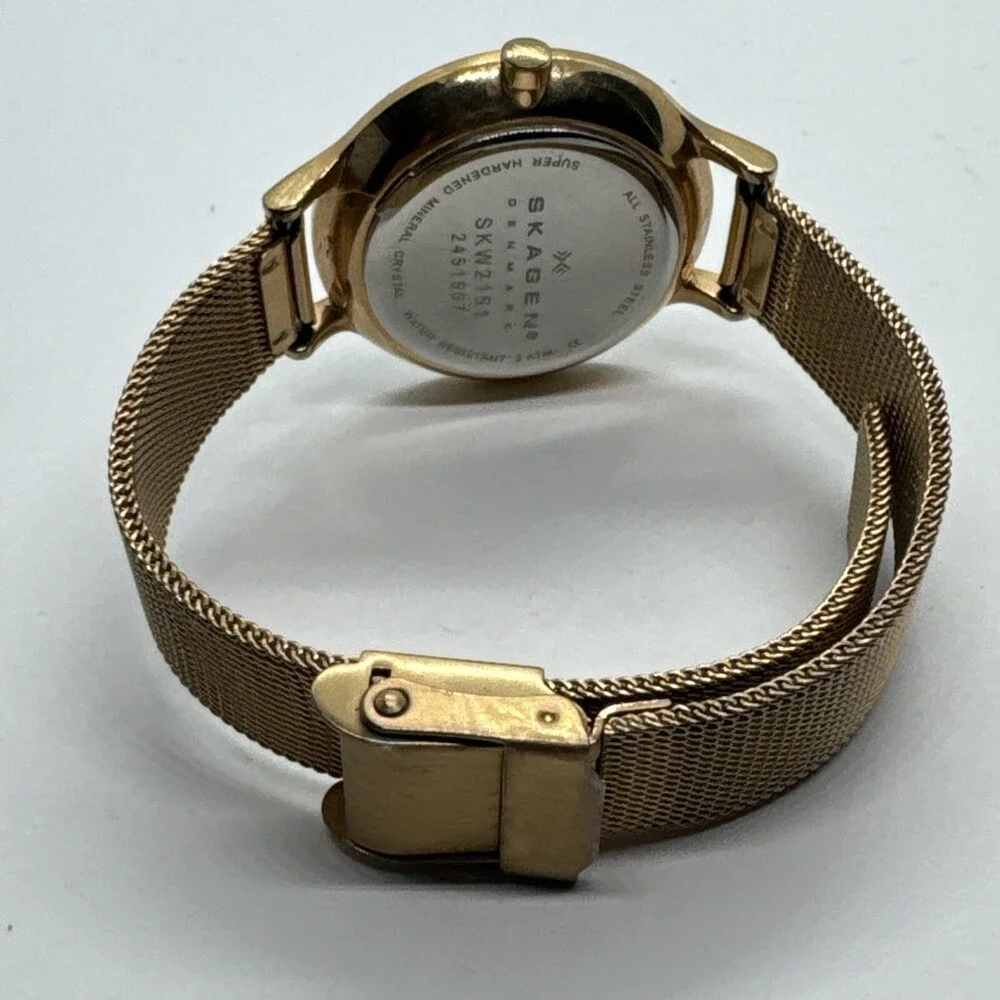 Skagen SKW2151 Womens Stainless Steel Mesh Analog Dial Quartz Wrist Watch AEA290
